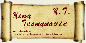 Mina Tešmanović vizit kartica